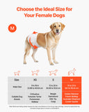 PupPants™ Female Dog Diapers (Size M) – 144 Count (2×72) Leak-Proof + Wetness Indicator