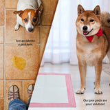 Puppy Training Pee Pads