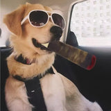 Funny Interactive Dog Toys