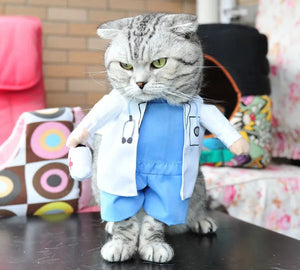 Pet Costume Clothes