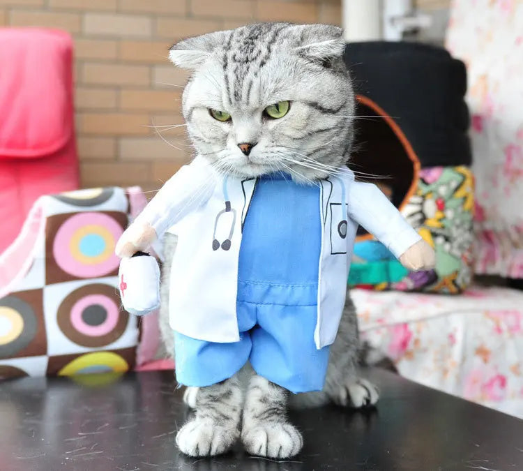 Pet Costume Clothes