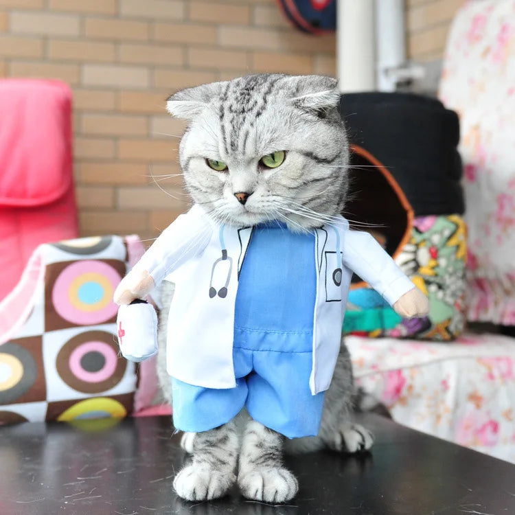 Pet Costume Clothes