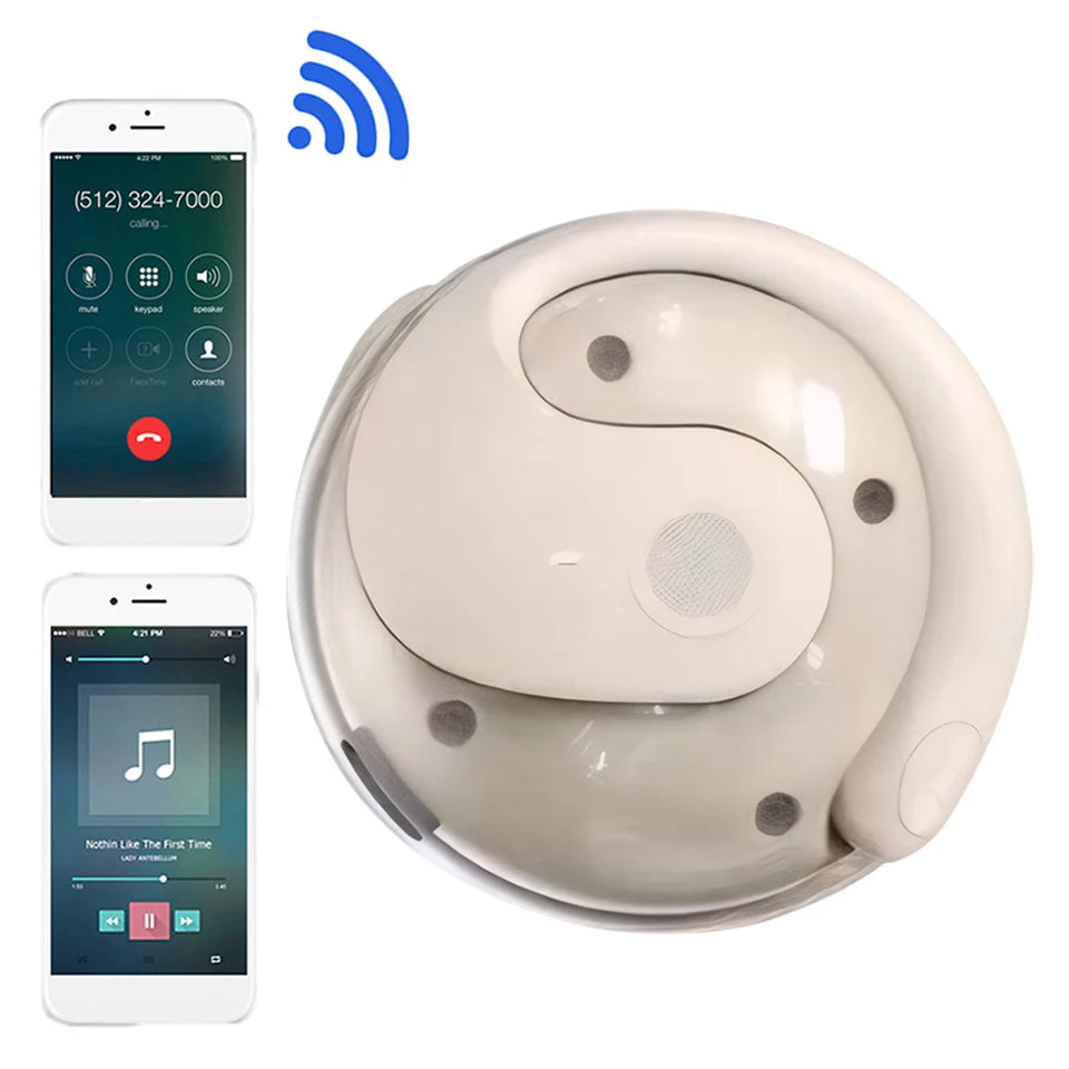 Wireless BT AI Translation Earbuds