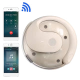 Wireless BT AI Translation Earbuds