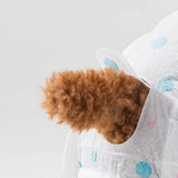 Female Dog Diaper