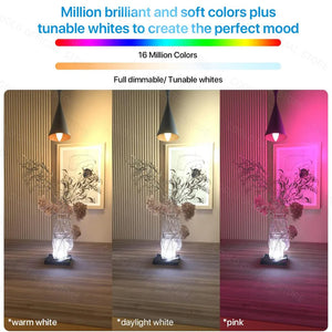 Smart Wifi Led Light Bulb