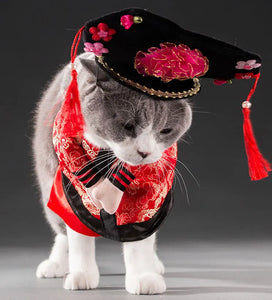 Pet Costume Clothes