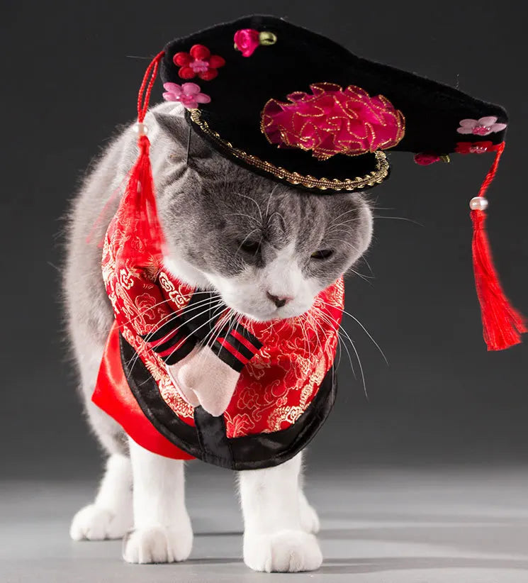 Pet Costume Clothes