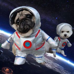 Pet Costume Clothes