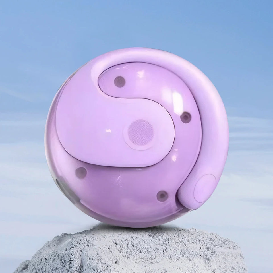 Wireless BT AI Translation Earbuds