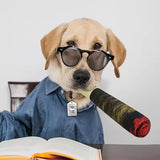 Funny Interactive Dog Toys