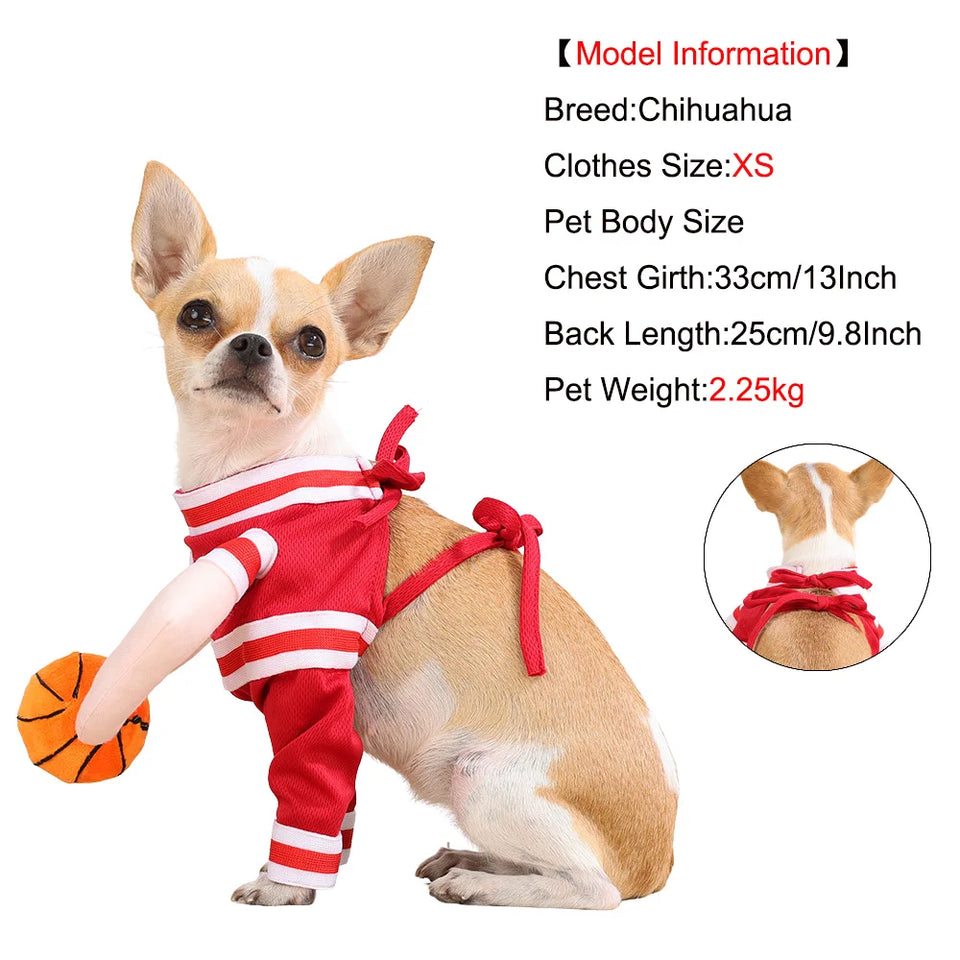 Halloween Cosplay Costumes