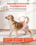 PupPants™ Female Dog Diapers (Size M) – 96 Count (2×48) Leak-Proof + Wetness Indicator